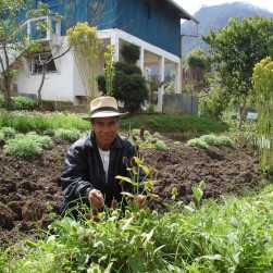 Jardin_de_plantes_médicinales_au_Guatemala-eb4e7a750c